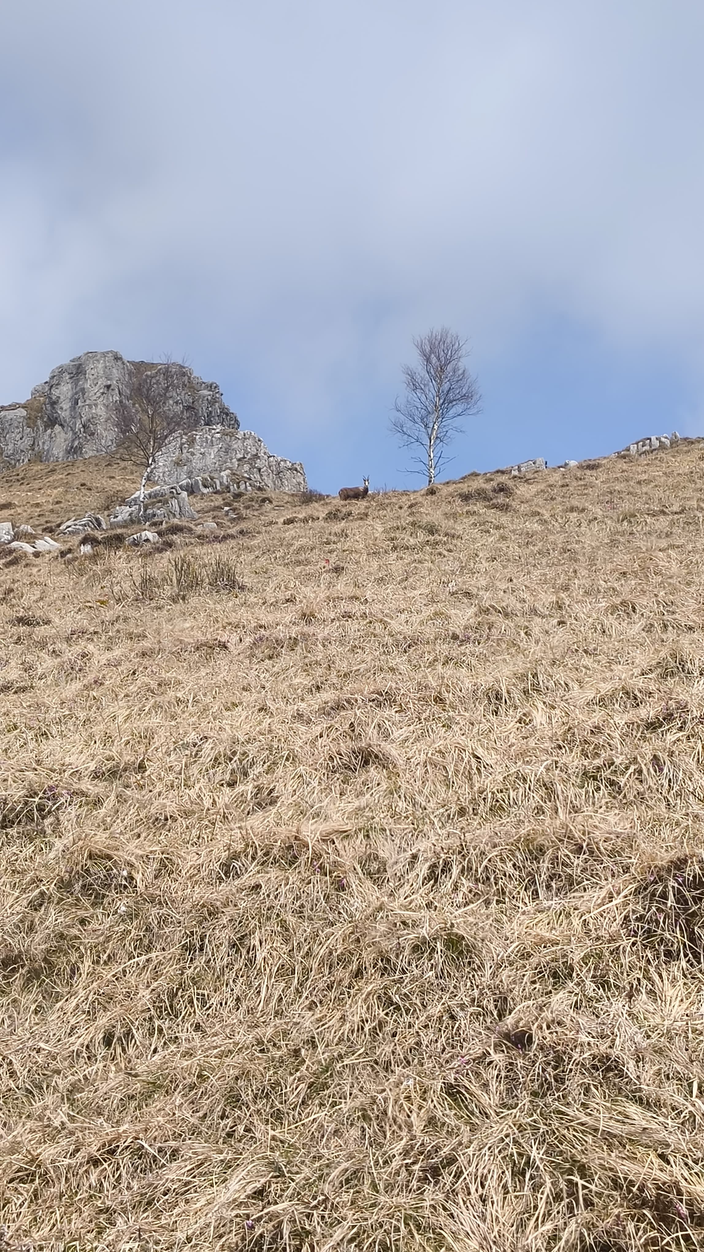 Foto n° 7 del trekking Resegone │ Gamma 1